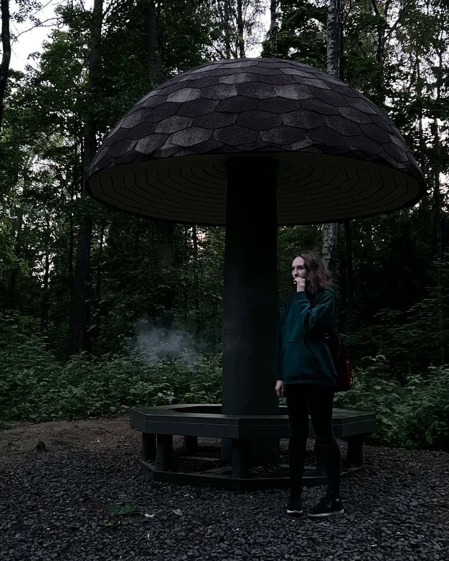 SlightlytTo's tweet photo. Stupid girl. You're not Absolem, I'm Absolem. 🐛🍄✨ https://t.co/7V6YuvMwFd