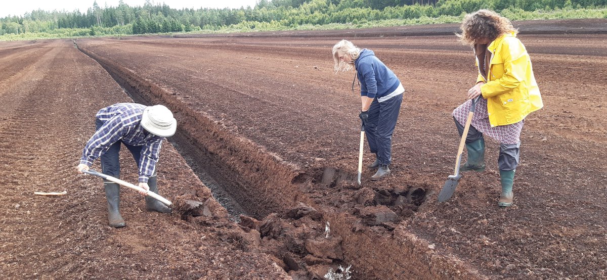 vatmarker's tweet photo. VI GĂR DET SOM GRĂVS
NÀr politikerna misslyckas, gör vi det som krÀvs - proppar igen diken. Kom pÄ torsdagens (13/7) förelÀsning för att fÄ mer info om hur du kan anvÀnda din semester pÄ bÀsta sÀtt. LÀnk: https://t.co/WRsvXgEk9g
#förbjudtorvbrytning #ÄterstÀllvÄtmarker #torv https://t.co/6AjNmecPI4