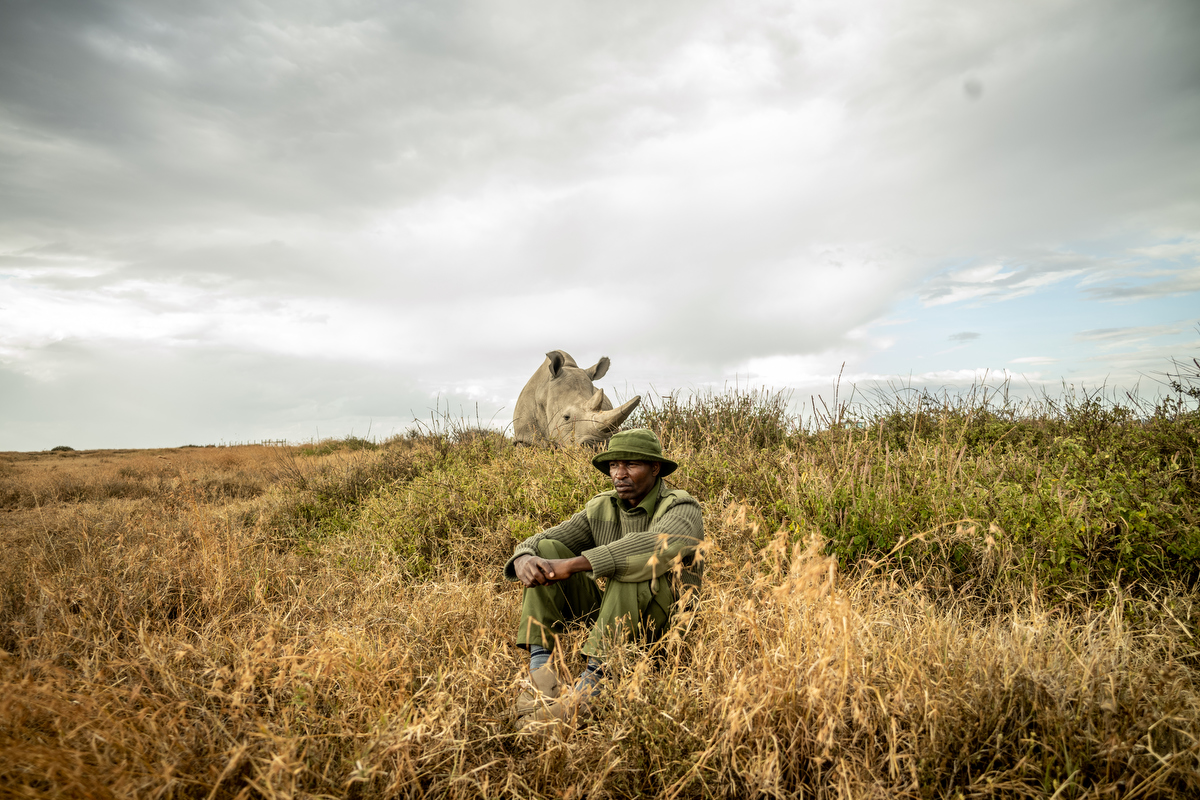 Ol Pejeta tweet media