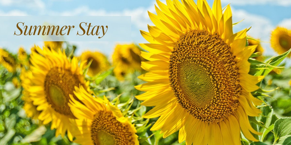 Summer just got better with our irresistible offer!☀ Experience two nights of pure luxury with a three-course à la carte dinner, full English breakfast, two hours spa access to name a few! Don't miss out on the ultimate summer escape! 🥂

🛏 - bit.ly/3D43F90 

#summ ...