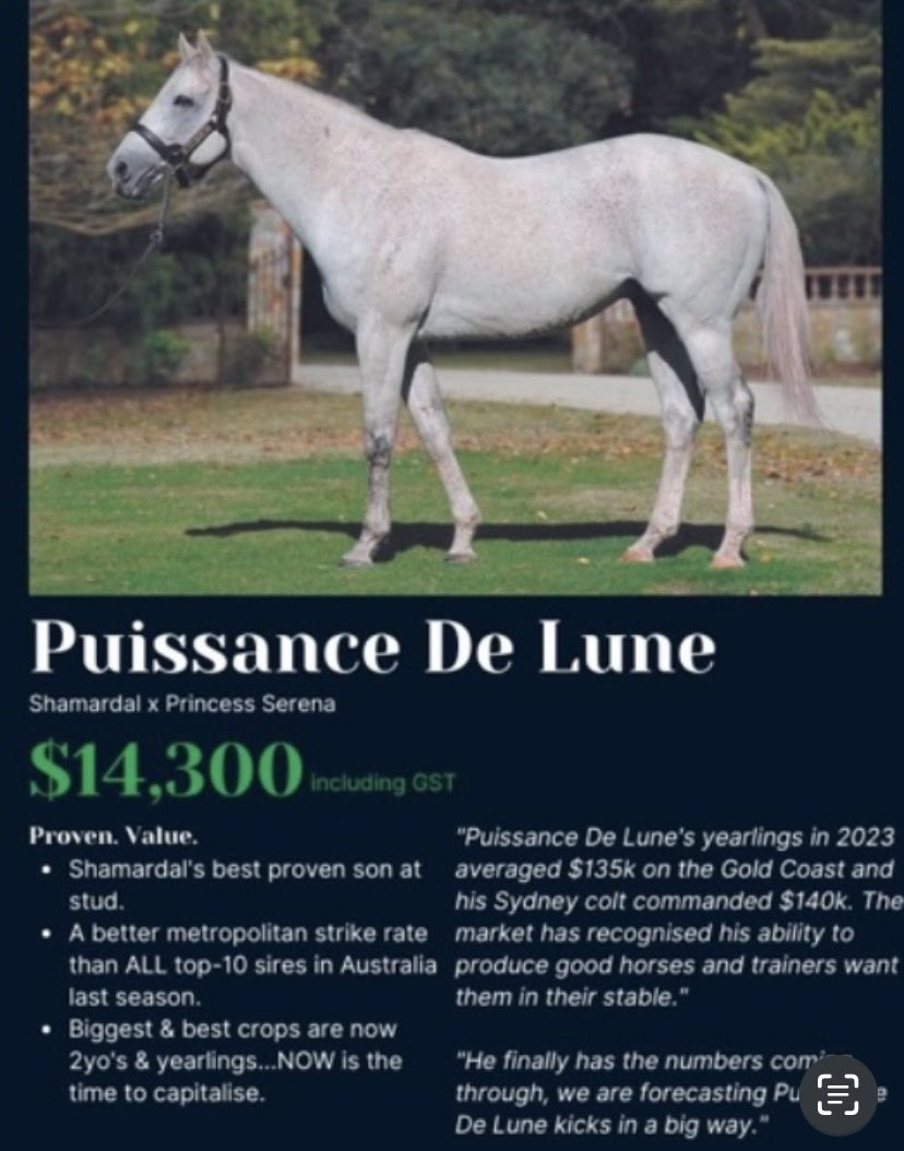 SwettenhamStud's tweet photo. #JACKOFIT 4G 🟦🟩Puissance De Lune🟦🟩 x Tsigana Begood(Tsigane) wins again for Kilmore Tr #CathleenWilson at Sandown Lakeside over 1200m ...Jk #BrianHiggins..🟦🟩#PUISSANCEDELUNE 🟦♥️ https://t.co/UzowF8VF4O