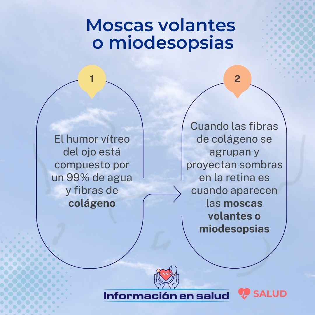 Info_salud0's tweet photo. ¿Alguna vez has experimentado pequeñas manchas flotantes en tu campo visual? En el artículo que encontrarás en el blog, te contamos todo sobre las moscas volantes y cómo mejorarlas.💡https://t.co/ral67gXzJF Algunos puntos que encontrarás: ¡Causas, tratamientos y más! #saludvisual https://t.co/iJHg8DhYQr