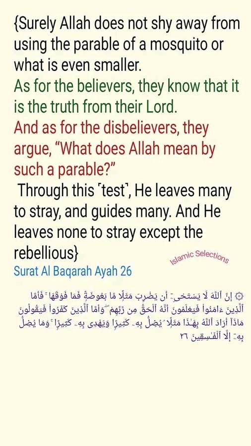 from_islamic's tweet photo. #islamicselections #quran #reverttoislam #revertmuslim #revertmuslimah #islamictwitter https://t.co/78TLxz3Qil