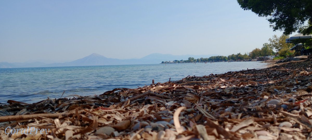 call1sta's tweet photo. 10 am and the water was already warm. Our little village is going to be getting some heat. Put on your sunscreen peeps.  ☺️🏖️🌞 #summer #Greece #WesternGreece #heatwavecoming https://t.co/YnZh4DbRdO