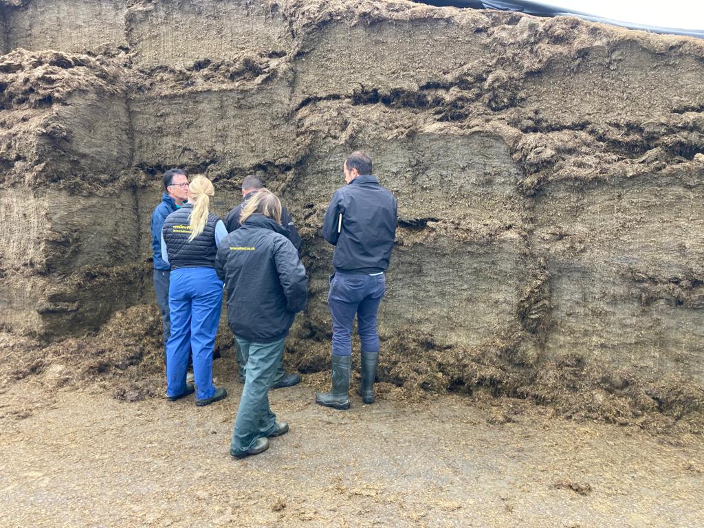 HarpersFeeds's tweet image. Today we are doing some @lely robot training with the team.  
Getting the most from your cows and the robot milking machines farmers use is vital. 

Speak to the team for more information

#farming #milkingrobot #dairyfarming #robotmilking #agriculture