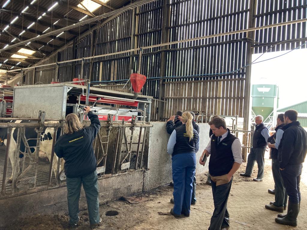 HarpersFeeds's tweet image. Today we are doing some @lely robot training with the team.  
Getting the most from your cows and the robot milking machines farmers use is vital. 

Speak to the team for more information

#farming #milkingrobot #dairyfarming #robotmilking #agriculture