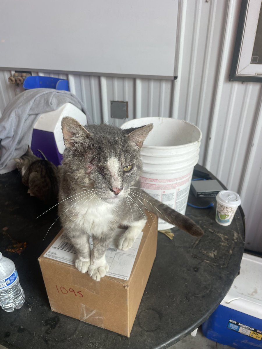 Kelly Garrett tweet media