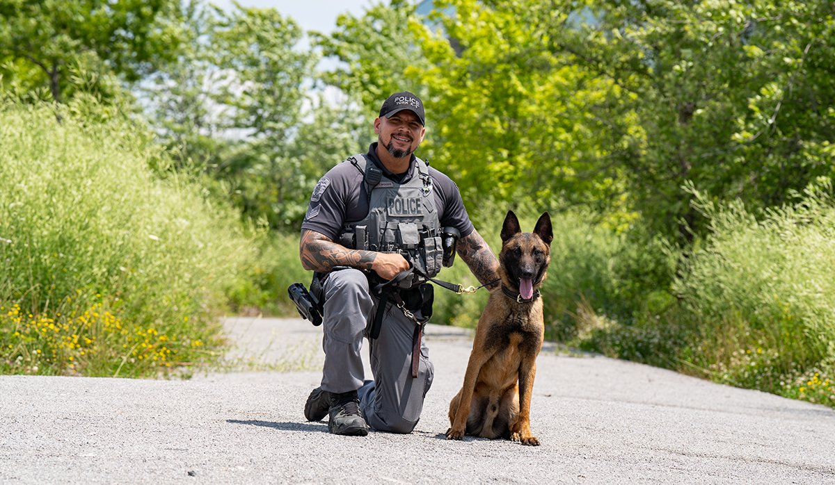 YRP's tweet photo. Clap your paws for a pair of recent graduates! 🐾🎓

Police Service Dogs Pablo and Kilo reporting for duty with Constables Woods and Disch this week after sharpening their senses at @YRP canine training.

Stay on the right side of the law and they will be your best friend, too! https://t.co/dpsVMK6MAF