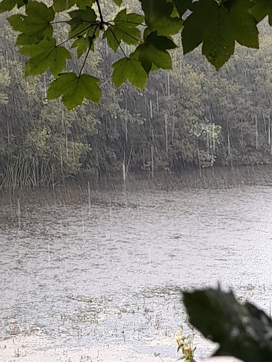 UnaTDuffy's tweet photo. In a determined effort to not work on the bank holiday, dragged oldest out for a walk at Loughshore #Toome. Fly swarms were hellish, rain was biblical but carrot cake was heavenly. Kids out in canoes were having a blast.....and the logo was there https://t.co/auCUTYZPU9