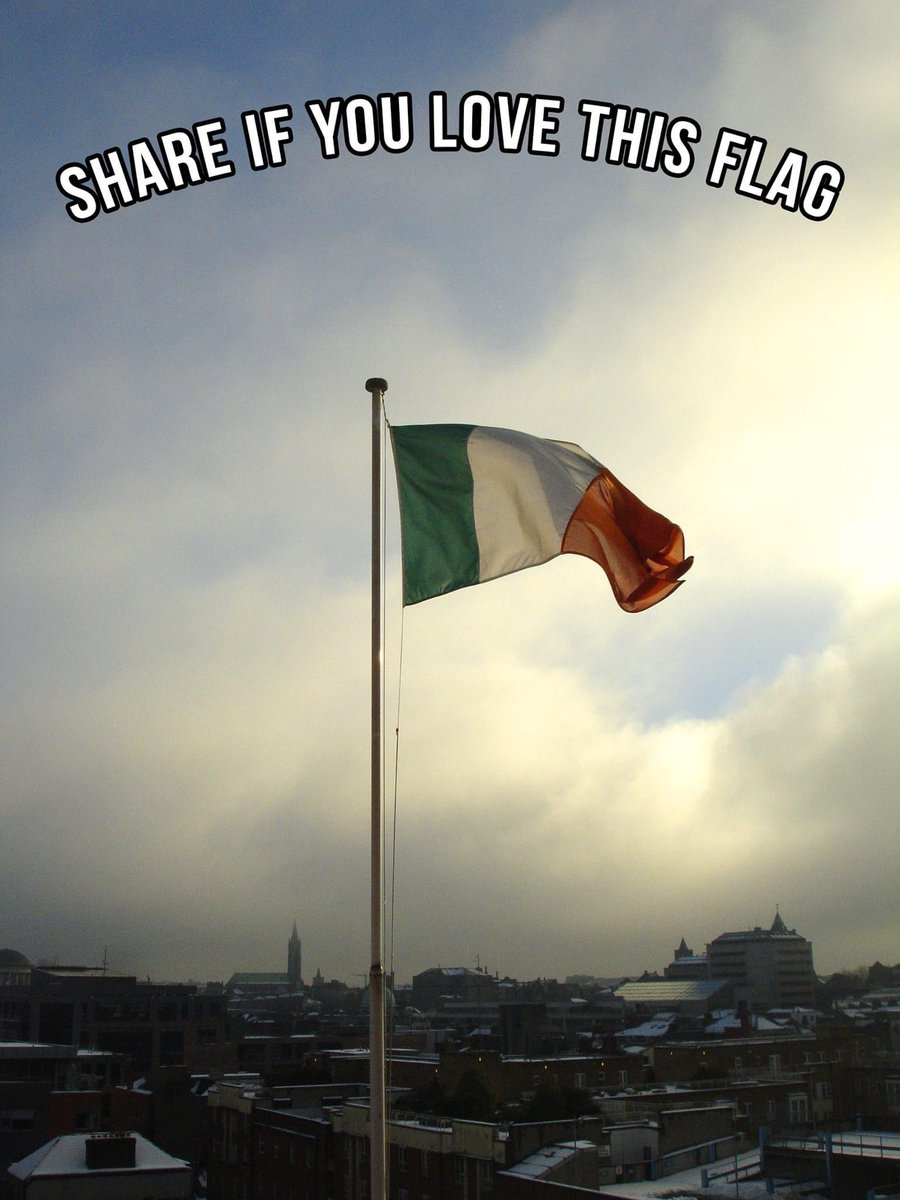 💯👍💯🐊🐊👌🇮🇪