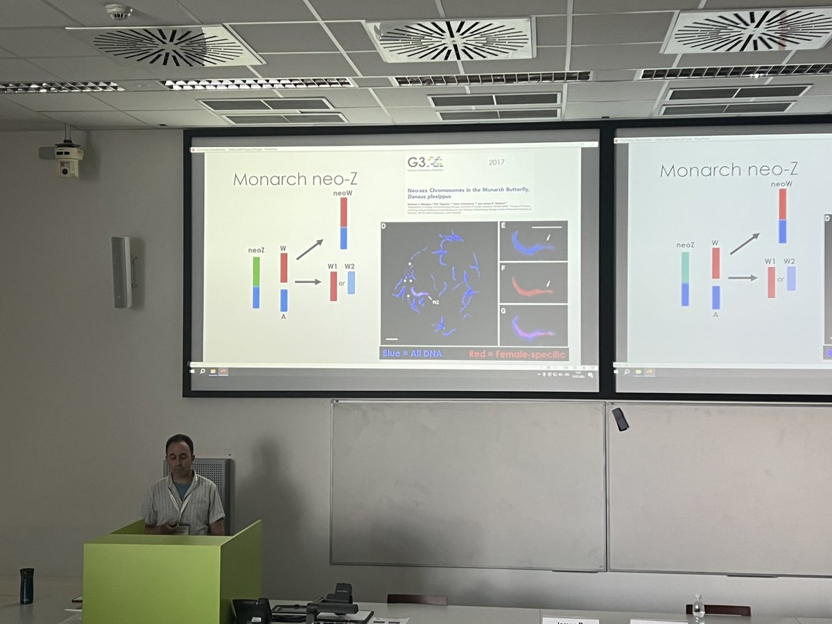 MichalBartak2's tweet photo. James Walters talking about the assembly and characterization of the W chromosome in monarch butterfly (Danaus plexippus) during the Genome structure and evolution session #bob2023 https://t.co/NTMjrmAfWA
