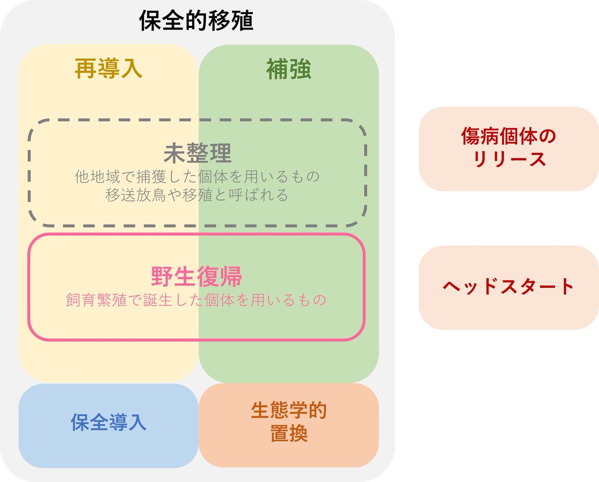 narcissina's tweet photo. 完成にはほど遠いですが、日本の野鳥について保全的移殖の用語整理を試みてみました。
ライチョウの移殖やツルの移送放鳥については用語の整理が必要そうですね。 https://t.co/GTgx1HRy6O