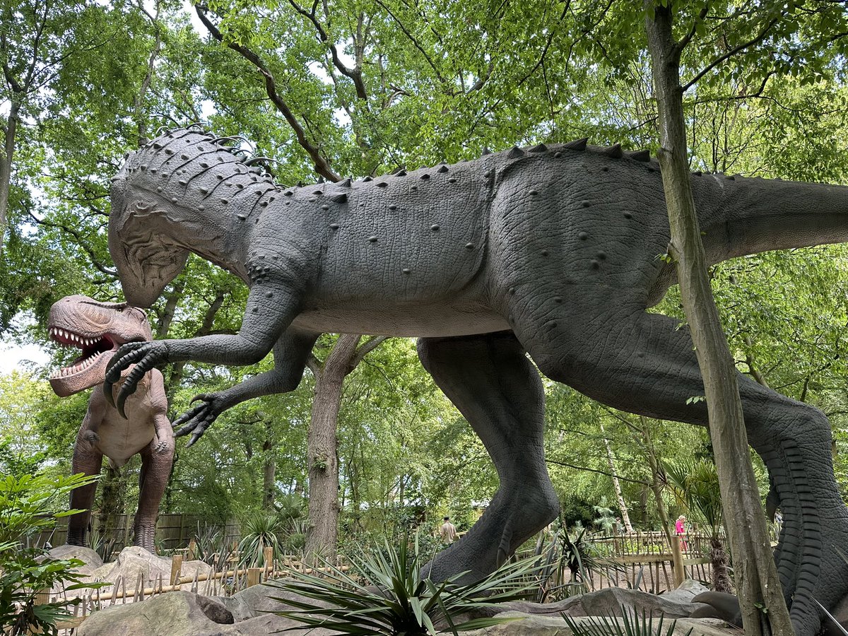 GGAYEAR2's tweet photo. We love dinosaurs! https://t.co/nFS45KT8ej