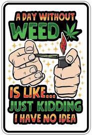 GreenGoddessSup's tweet photo. #stonerproblems #pothead #potheadsociety #stayhigh #staylifted #stayelevated #higherthanmost #higherthanyou #blunts #bluntsfordays https://t.co/xvAVyYhCxr