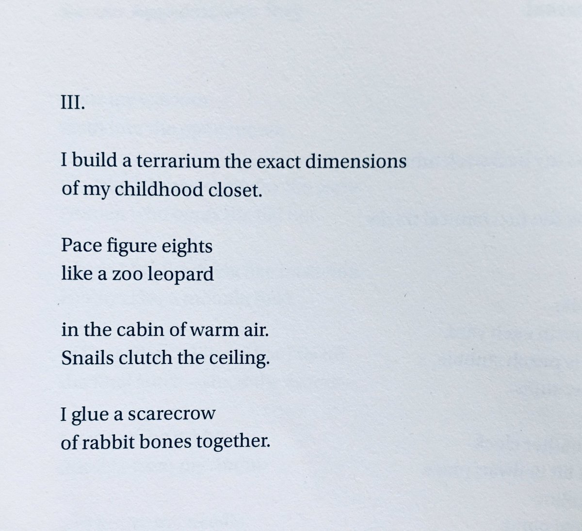 Ben Niespodziany ☁️🐋 tweet media