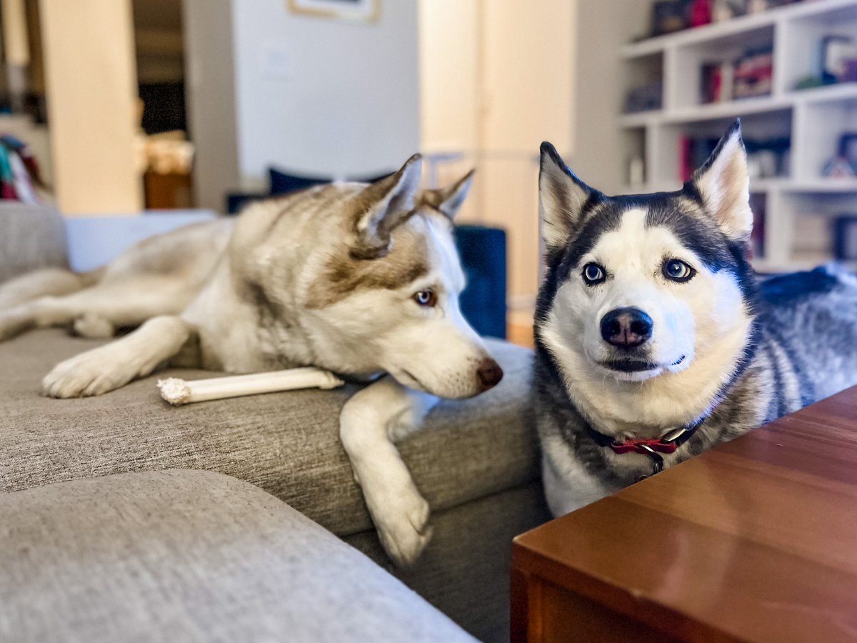 the calm before the BITEY