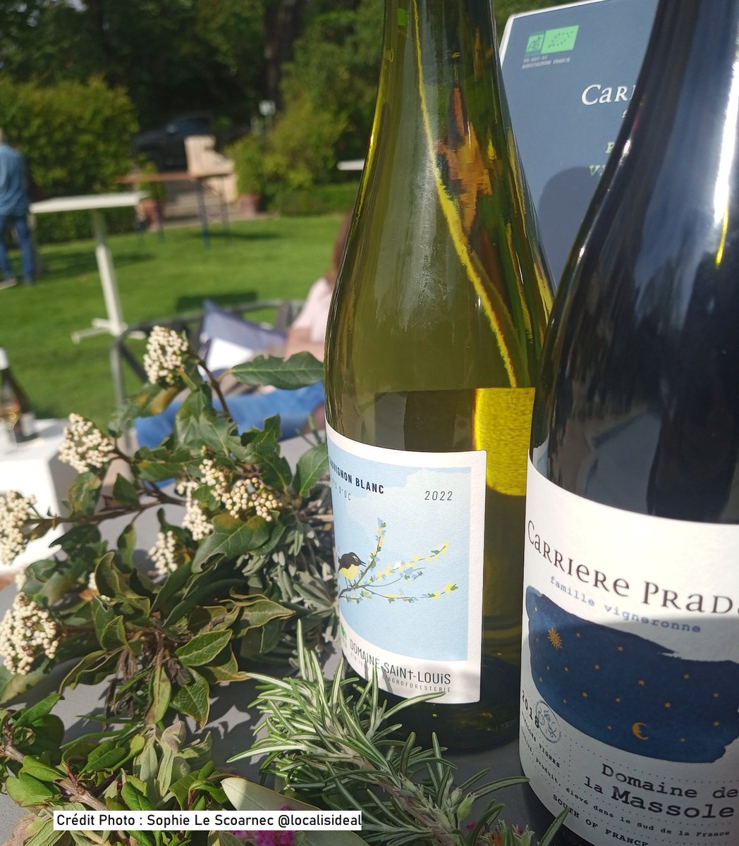 Redweb_fr's tweet photo. Le Repaire des Bons Vins vs invite jeudi 13 juillet à #Béziers à partir de 18h au 3, rue Guibal pour sa 1ère #dégustation de #vinsLocaux. La vigneronne de la famille #CarrièrePradal vs présentera ses vins #bios accompagnés de cookies #apéritifs #Wines #Languedoc #food #Free #ABDC https://t.co/OpRYMtYLT8