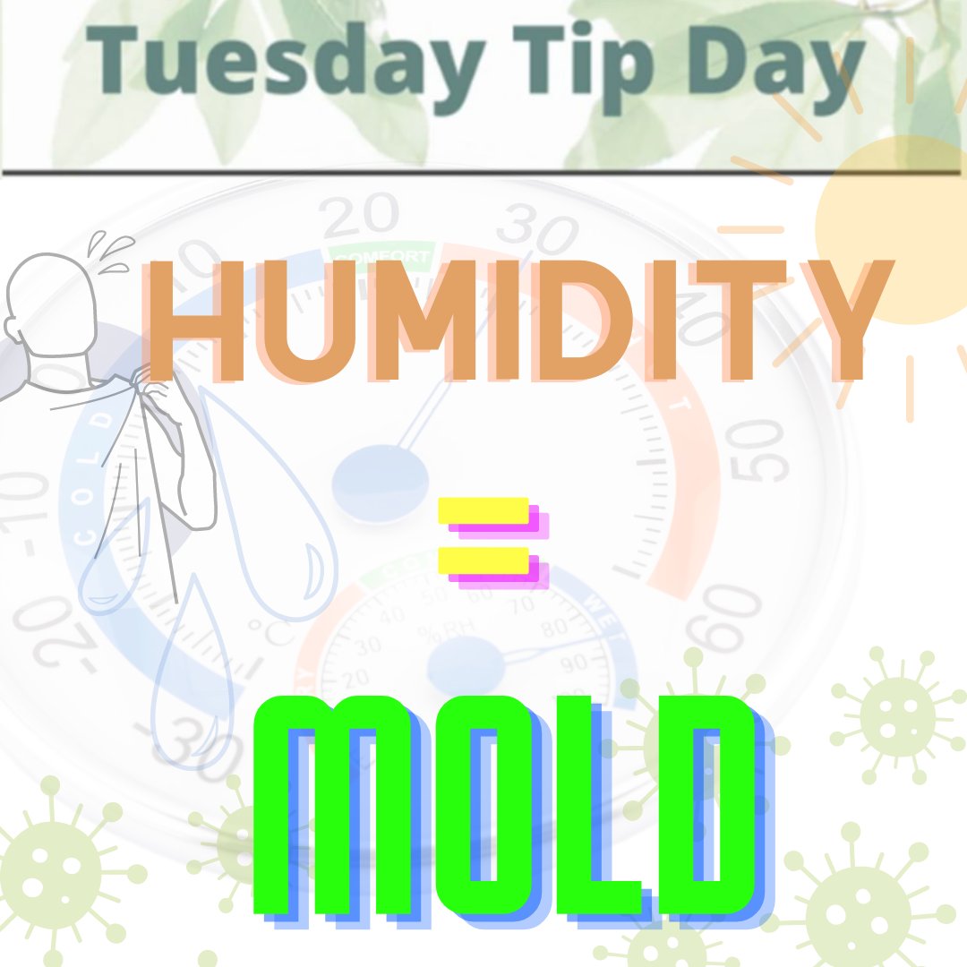 Click now for tips to reduce #humidity this summer before mold grows inside!

☀️maineindoorair.org/humidity/

#tiptuesday #moldprevention #IAQ