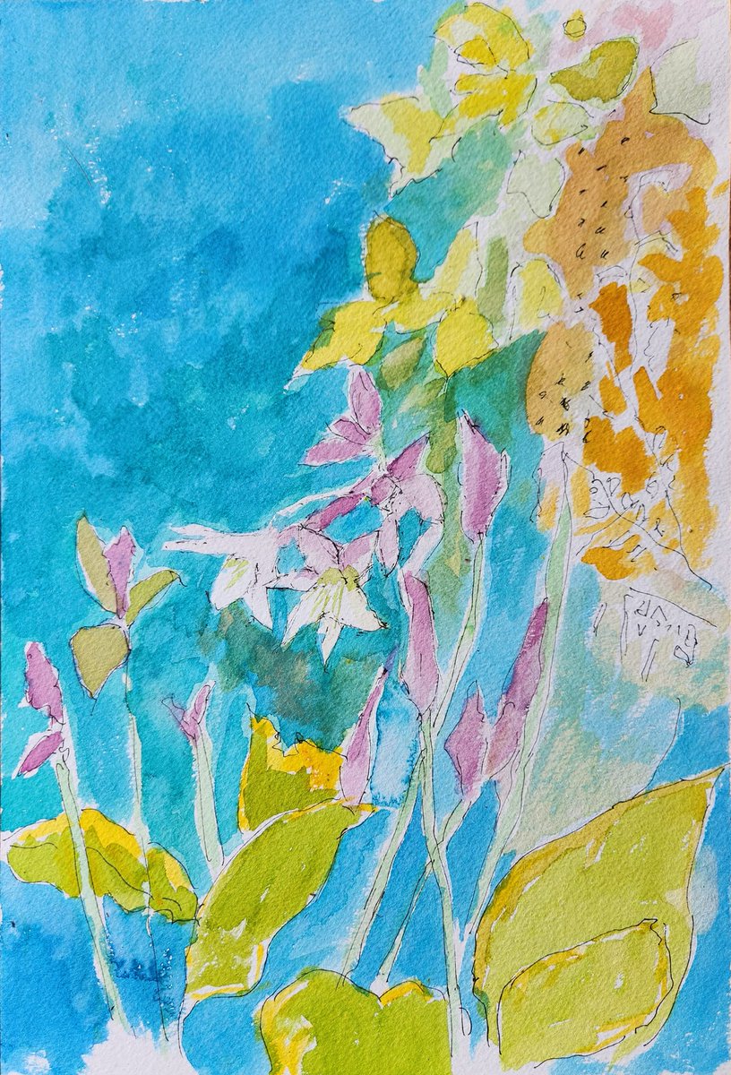 Charlie Collins tweet media