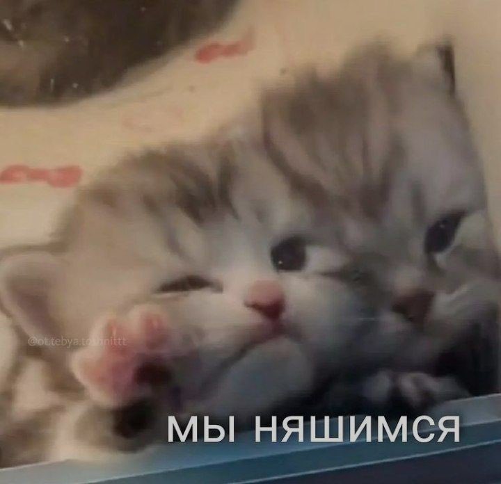 ТАК МИЛО Я В СОПЛИ