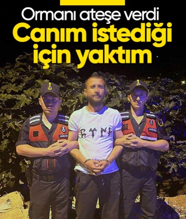 Bursa'da orman yangını: Sıkıldım, canım istediği için yaktım!!

#ShellBoykot #sapık #15TemmuzuKimYaptı Seyyid Abdulbaki El-Hüseyni #MemurHakkıMecliseBağlı #gavs ALLAH RAHMET EYLESİN Murat Övüç #menzil Sonuç Şeriat Rusya Çocuk Oppenheimer Erkekler Erdoğan Kılıçdaroğlu Tanju Özcan