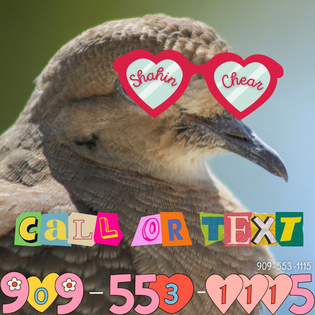 SChearStateFarm's tweet image. Shahin Chear is here for you!! Protect what you love🦜🕊️🐤
Call or text Shahin Chear at 949-553-1115📱

photo: @photos.byaddison
#statefarminsurance #likeagoodneighbor #persianbusiness #lgbtqfriendly #womenowned #artmatters #persianbusinessowner #persianwomenleader