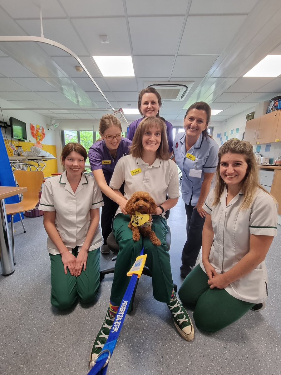 Ashford&StPeter's OT (@asph_ot) on Twitter photo <a href="/ASPHstrokerehab/">Phoenix Stroke & Neuro Rehabilitation Team</a> enjoyed a visit from the Pets as Therapy dog lily this afternoon. Our patients loved meeting her, but we couldn't let her go without a cuddle from our staff <a href="/PetsAsTherapyUK/">Pets As Therapy</a> @misslilythetoypoodle <a href="/ASPHFT/">Ashford & St Peter's</a> <a href="/SLT_ASPH/">ASPH Speech and Language Therapists</a> <a href="/laura_wayhey/">laura Way</a> <a href="/jenny_voller/">Jenny Voller</a> <a href="/Ruth_Isabel/">Ruth Isabel</a> <a href="/ASPHstrokerehab/">Phoenix Stroke & Neuro Rehabilitation Team</a> enjoyed a visit from the Pets as Therapy dog lily this afternoon. Our patients loved meeting her, but we couldn't let her go without a cuddle from our staff <a href="/PetsAsTherapyUK/">Pets As Therapy</a> @misslilythetoypoodle <a href="/ASPHFT/">Ashford & St Peter's</a> <a href="/SLT_ASPH/">ASPH Speech and Language Therapists</a> <a href="/laura_wayhey/">laura Way</a> <a href="/jenny_voller/">Jenny Voller</a> <a href="/Ruth_Isabel/">Ruth Isabel</a>