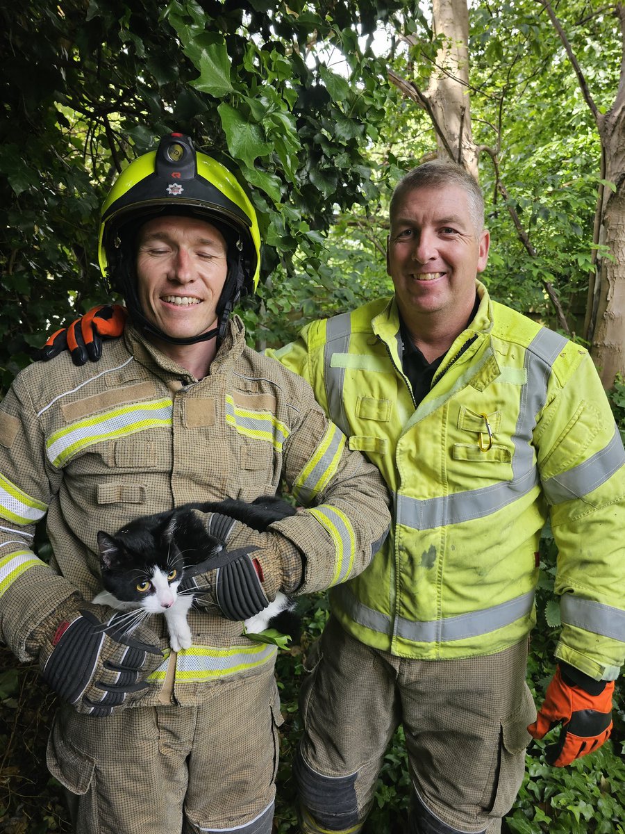 Mark Cundy (@cundy79) on Twitter photo Hank the cat needed a helping hand down from a tree. Crews from <a href="/WMFSTipton/">Tipton Fire Station</a> <a href="/WestMidsFire/">West Midlands Fire Service</a> #BlueWatch safely got him down and reunited him with his owner. <a href="/RSPCA_official/">RSPCA (England & Wales)</a> were also in attendance. #CatsOfTwitter #Catrescues #Cats #Firefighter #Tipton Hank the cat needed a helping hand down from a tree. Crews from <a href="/WMFSTipton/">Tipton Fire Station</a> <a href="/WestMidsFire/">West Midlands Fire Service</a> #BlueWatch safely got him down and reunited him with his owner. <a href="/RSPCA_official/">RSPCA (England & Wales)</a> were also in attendance. #CatsOfTwitter #Catrescues #Cats #Firefighter #Tipton