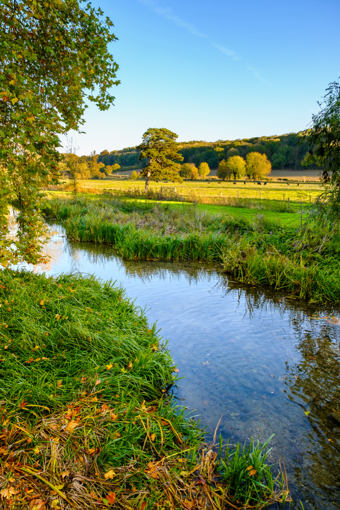 ChilternSociety's tweet photo. We have nine chalk streams in the Chilterns that offer lovely walks. Stroll along the banks and listen to the sound of trickling water over gravel beds.
Learn more about these charming streams π https://t.co/vfIjapWKxX
#chalkstream #riverchess #aonb #chilterns https://t.co/tbze7h5nps