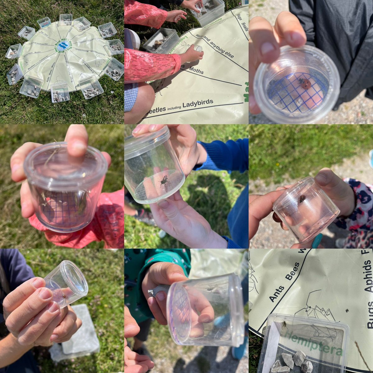 inclusionbot's tweet photo. Elms Class have had a fabulous day at Samphire Hoe! #localenvironment #getoutside @AquilaTrustUK https://t.co/QEkL16f9bp