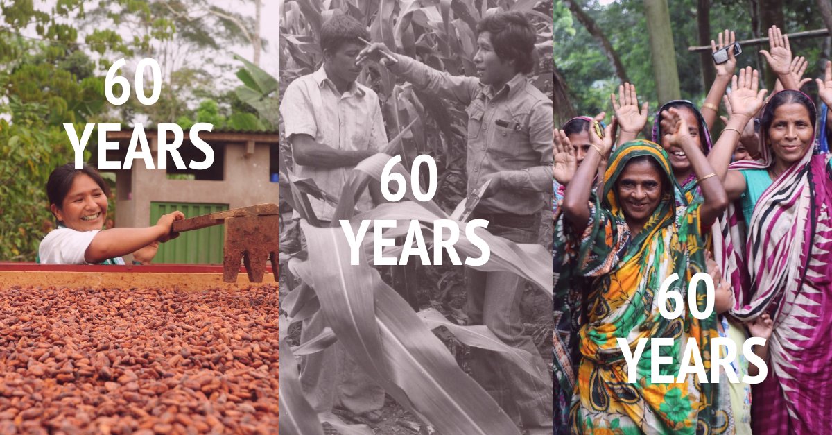 🥳 Today, we proudly celebrate 60 years of operating in global development!

Cheers to another 60 years of mobilizing volunteers, promoting farming cooperatives, strengthening market systems, empowering women and youth, mitigating climate change, supporting food security, &amp; more.
