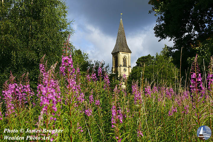 St Peter's #church on #Southborough Common #Kent, available as #prints and on gifts here, FREE SHIPPING in UK: lens2print.co.uk/imageview.asp?…
#AYearForArt #BuyIntoArt #FindArtThisSummer #TunbridgeWells #churches #architecture #oldchurches #summer #pinkflowers #weald #wealdofkent