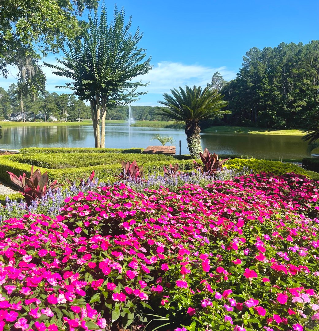 BerkeleyHall_SC's tweet image. This view! 1200+ vibrant pink Vincas grace our lovely Savannah Gardens ~ along with purple Salvia and popular 'Red Sister,' composing the stunning view to fountain beyond! {thanks Kasie Luiza for sharing your daughter-in-law's beautiful photo!} #BerkeleyExperience