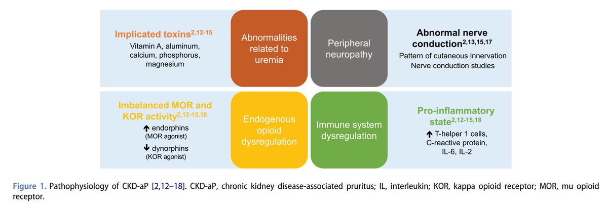 edgarvlermamd's tweet image. CKD associated pruritus (CKD-aP): Pathophysiology, Assessment, and Treatment algorithm ca. 2023 from @DrAnjayRastogi @sfishbane #Nephpearls

tandfonline.com/doi/full/10.10…