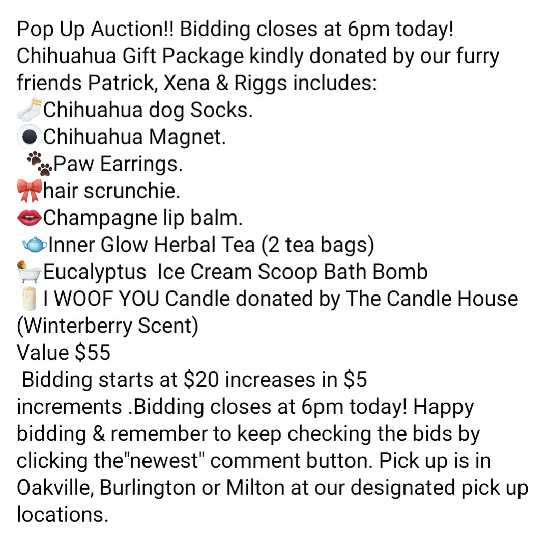 🐾Pop up Auction🐾 Click the pic for more details. #Fundraiser #fundraising #dogs #RESCUEISMYFAVORITEBREED #RescueDogs #auction #Chihuahua Click here to place your bid: m.facebook.com/story.php?stor…