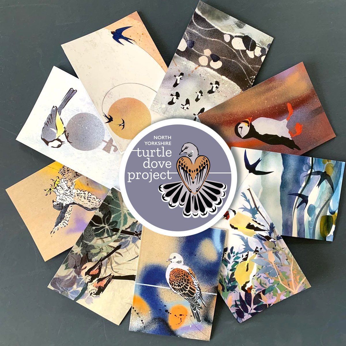 north_dove's tweet photo. @YCNature are raising money @GlobalBirdfair this week for Turtle Dove Conservation in North Yorkshire @DalbyFriends @Dalby_Forest by selling these fabulous cards designed by Jo Ruth Design. Pls visit YCN in the Swallow Marque stand 106 &amp; buy a card or two! 😉 https://t.co/YKrlNbojPT