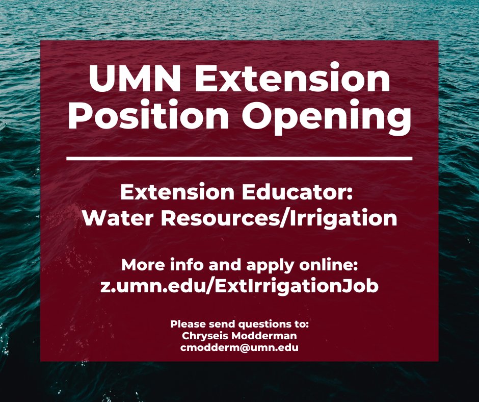 Chryseis Modderman tweet media