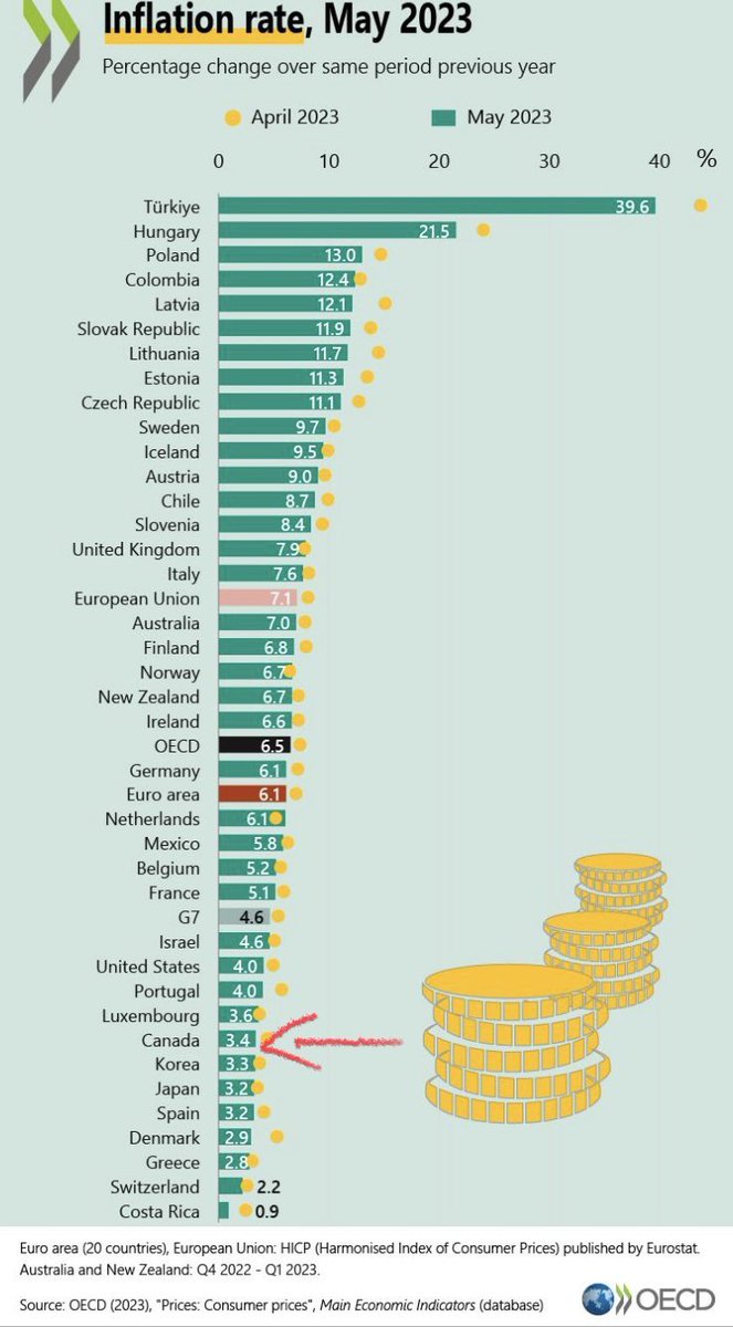 Dr. Doug Eyolfson tweet media