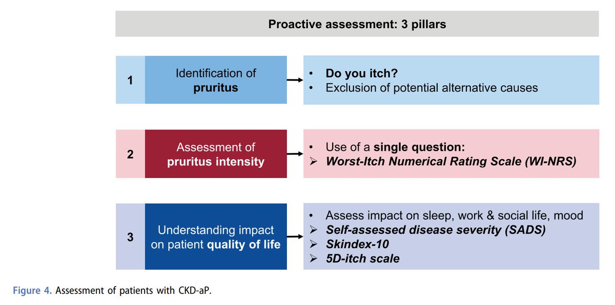 edgarvlermamd's tweet image. CKD associated pruritus (CKD-aP): Pathophysiology, Assessment, and Treatment algorithm ca. 2023 from @DrAnjayRastogi @sfishbane #Nephpearls

tandfonline.com/doi/full/10.10…