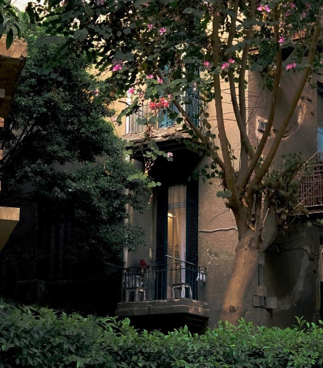 sorrrowfull's tweet image. 