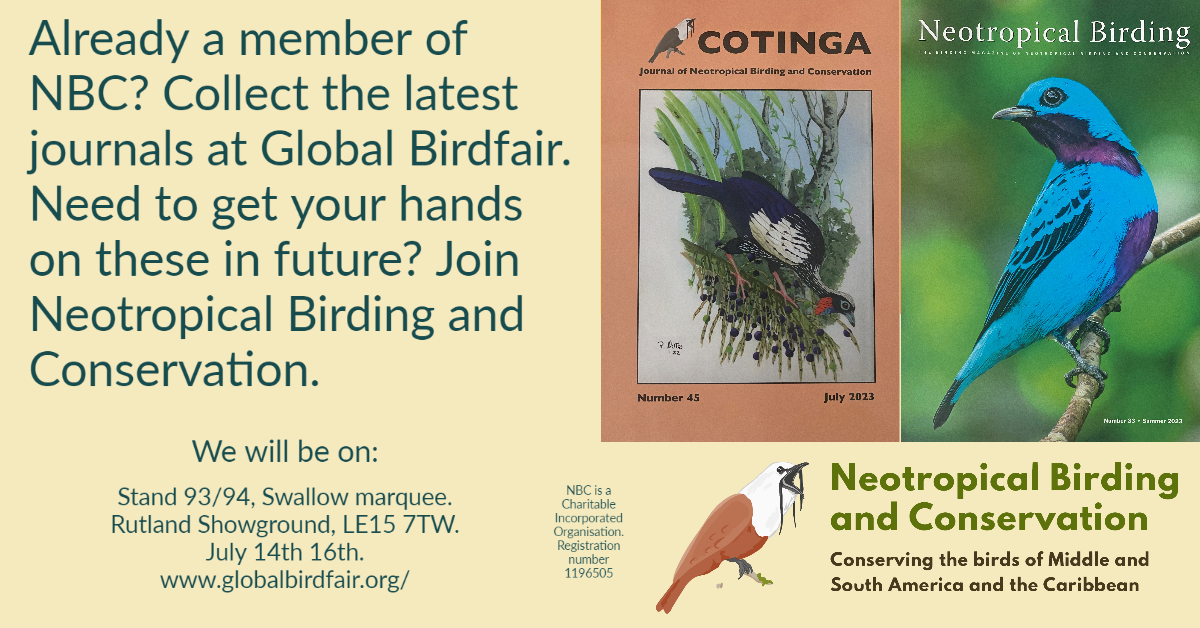 BirdSoundGlobal tweet picture