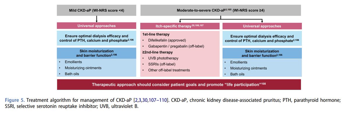 edgarvlermamd's tweet image. CKD associated pruritus (CKD-aP): Pathophysiology, Assessment, and Treatment algorithm ca. 2023 from @DrAnjayRastogi @sfishbane #Nephpearls

tandfonline.com/doi/full/10.10…