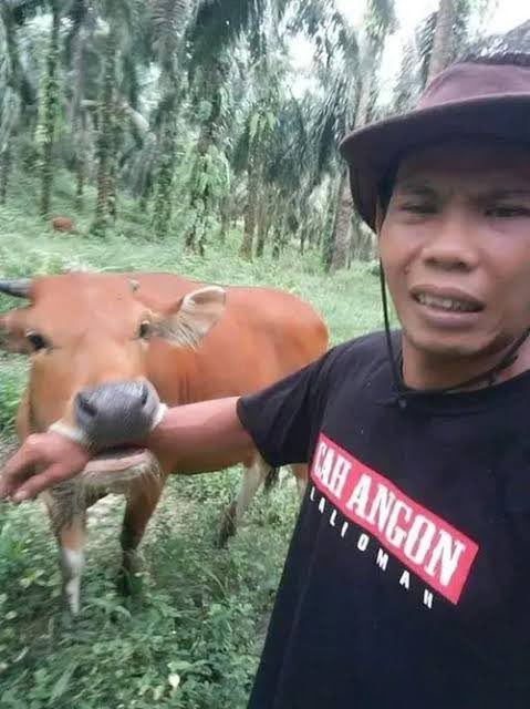 jmnmeal's tweet photo. bro kangen banget jmnmeal apa kabar https://t.co/hfVr6FCo8K