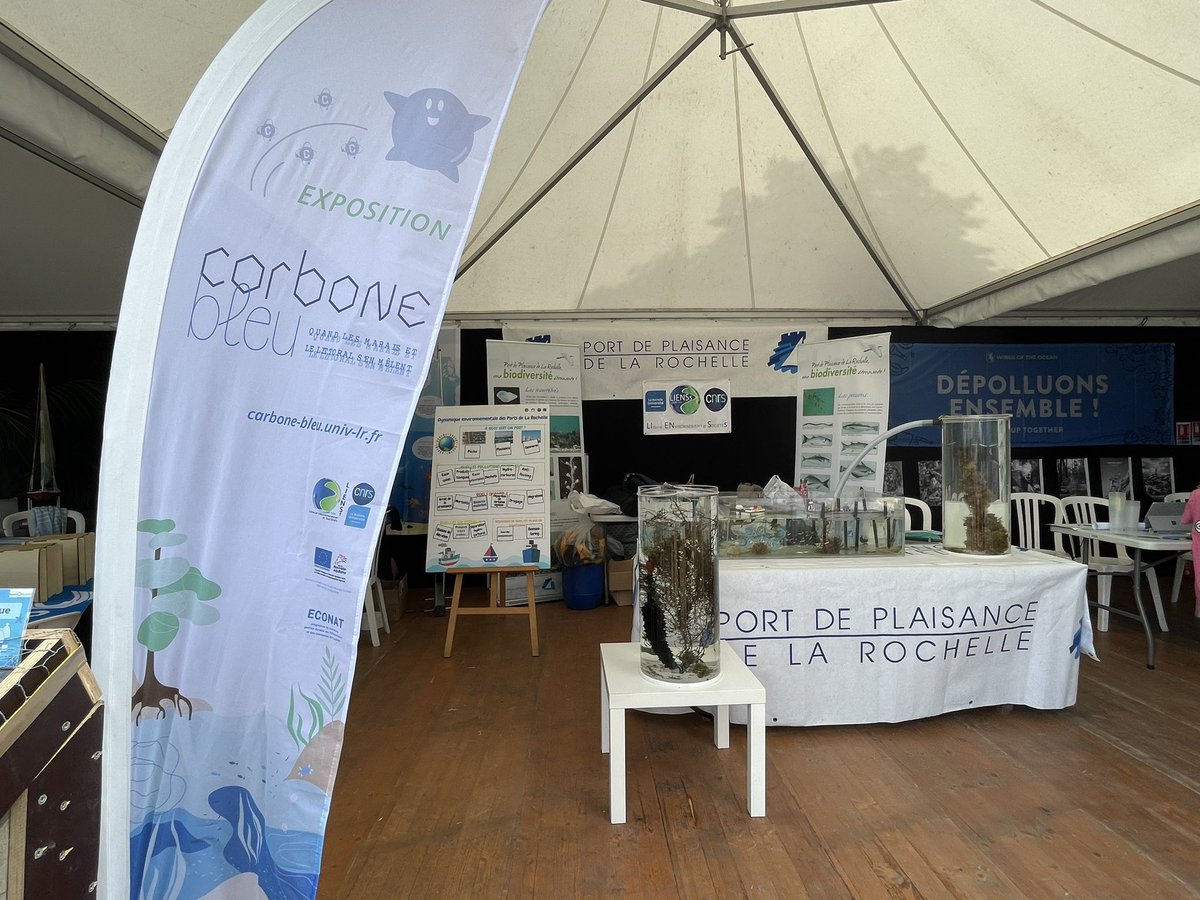 LIENSsCNRSULR's tweet photo. Le @portlarochelle et le @lienss_la_rochelle @UnivLaRochelle au village Francocean @francofolies pour découvrir la #biodiversité 🐡🦪🪼🐙🦀🐟des ports et comprendre la notion de #carbonebleu 🪸🏝️ sur le territoire @LRzerocarbone @AggloLR
On vous attend !! https://t.co/HqTA1dnd4x https://t.co/KiL2UWh0A3