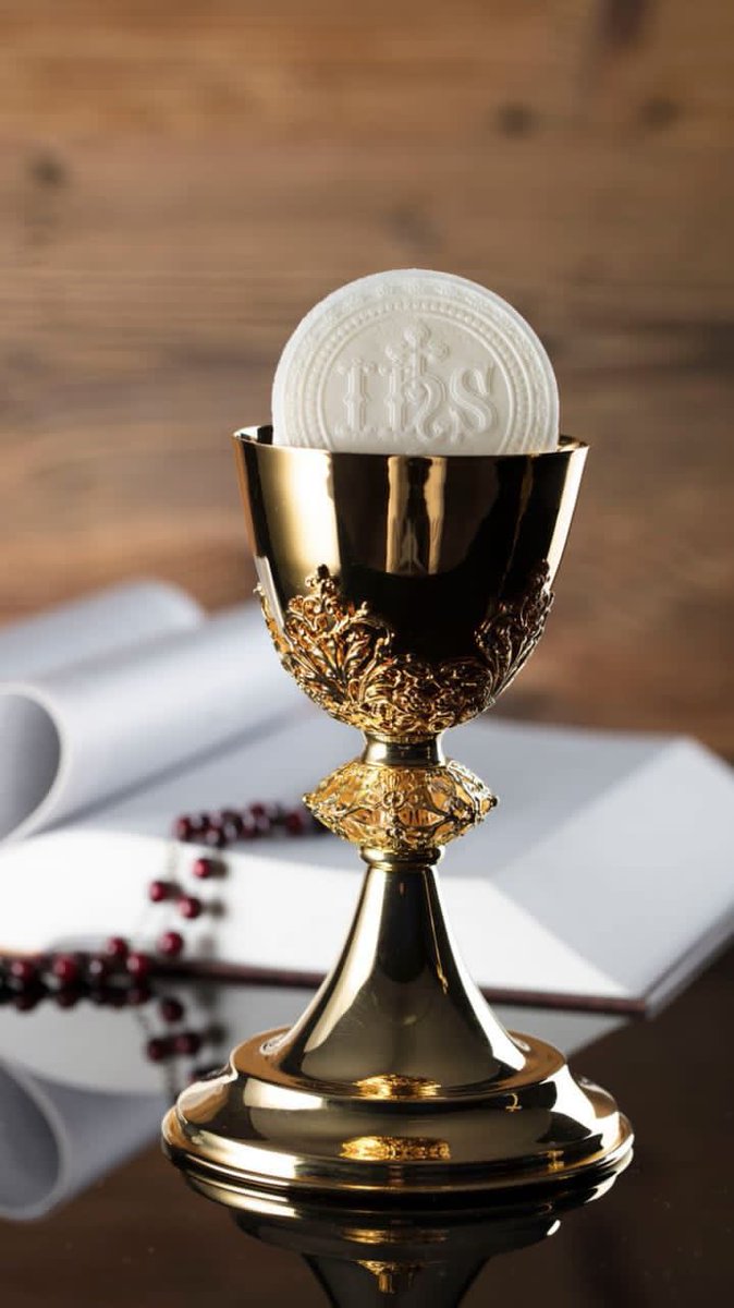 UgonnaMario's tweet photo. “O Blood and Water, which gushed forth from the Heart of Jesus as a Fount of Mercy for us,
I trust in You.” https://t.co/kEqf9HmVuc
