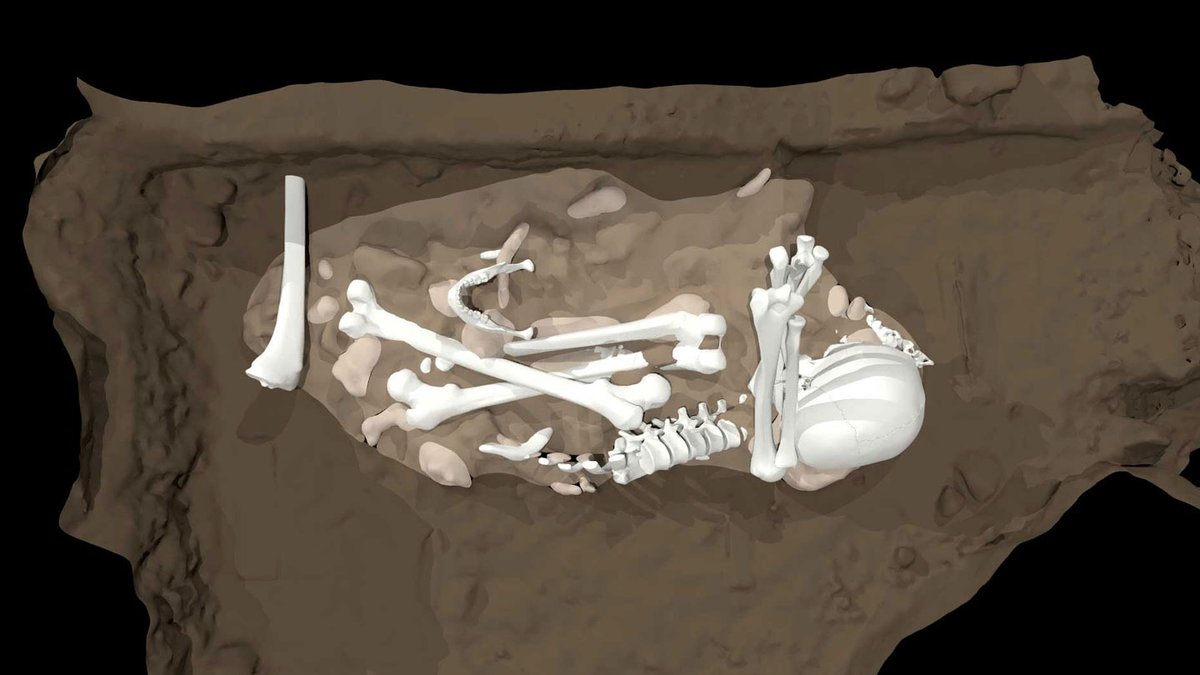 The peer reviews for "Evidence for the deliberate burial of the dead by Homo naledi" have been posted. 
elifesciences.org/reviewed-prepr…