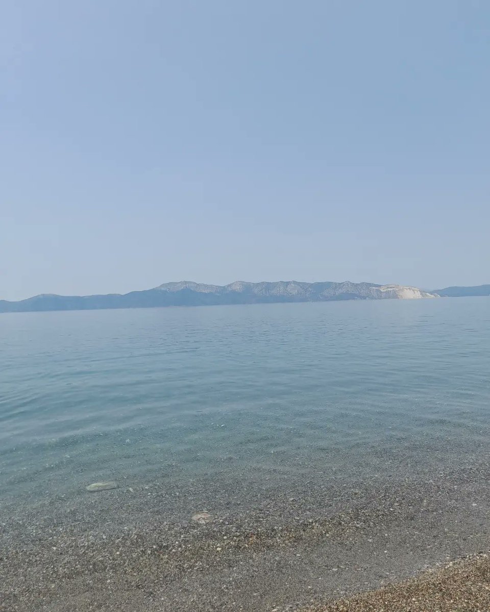 AKatramatos's tweet image. Pefki Paralia, Evia - Greece / Πεύκη Paralia (Εύβοια)
➖️➖️➖️➖️➖️
#greece #pefki #Ελλάδα #Εύβοια #παραλία