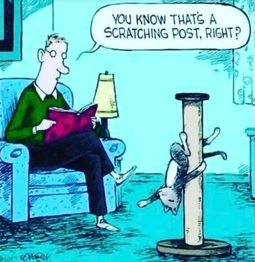 💙Zeee💜 (@satnamzeee) on Twitter photo 