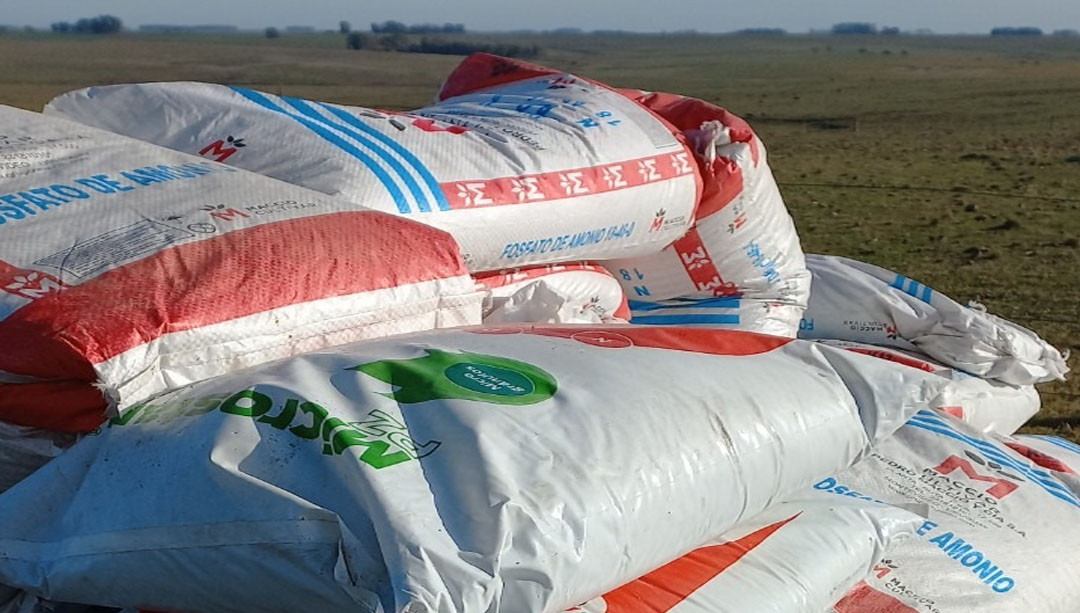 agromil_ltda's tweet photo. 🚜 Siembra de Raigrás Titán con #MicrostarPZ en 📍 Casupá, Florida. 👥 La Forrajera, @RizobacterU 
#MicrostarRaigras #RizobacterUruguay https://t.co/Wq1Bjg2fT3