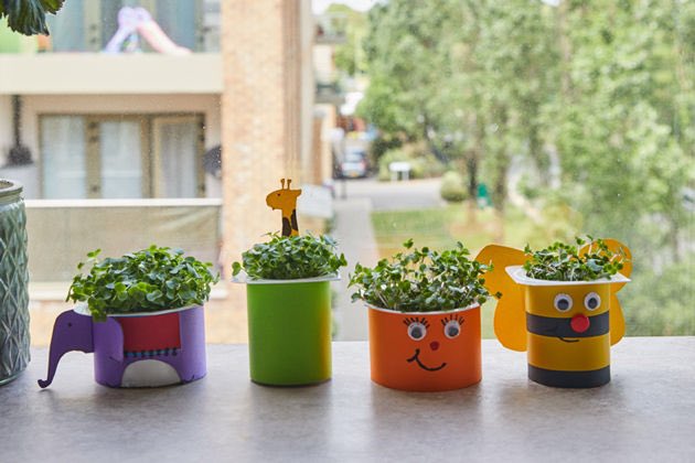 Yogurt pots request! Please can you bring in any empty yogurt pots you have for next week. We’re going to be making cress heads for the end of our science topic, a bit like this picture. The more the better please. Thank you!